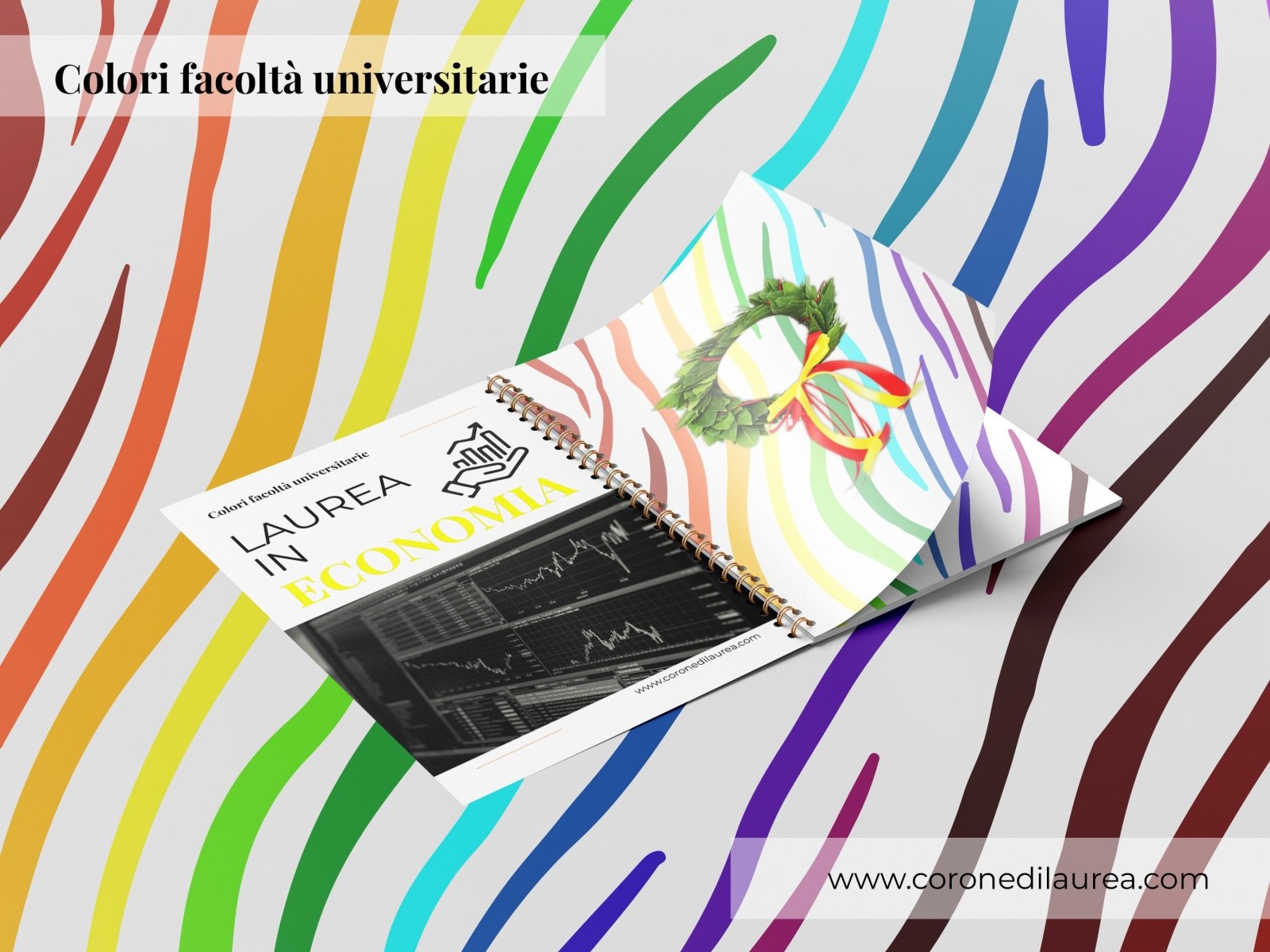 Corona laurea - economia - colore fiocco - shop online. Corona di alloro laurea economia, coroncina di alloro fresco.
