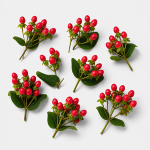 Bacche rosse