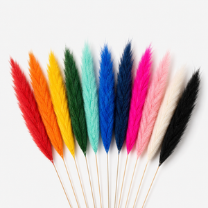 Mini pampas