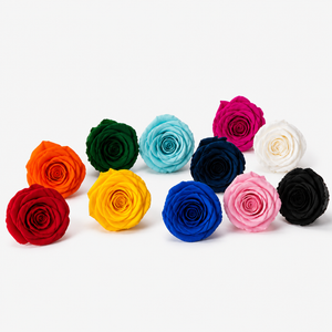 Roselline stabilizzate