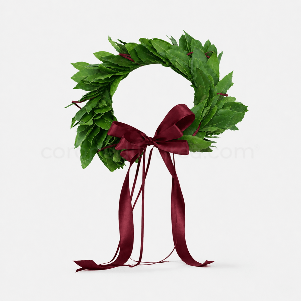 Corona di laurea "Classica" fatta a mano - coronedilaurea.com