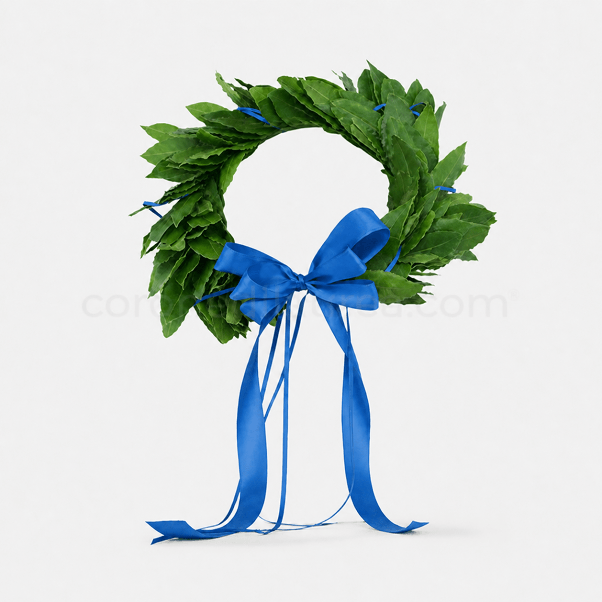 Corona di laurea "Classica" fatta a mano - coronedilaurea.com