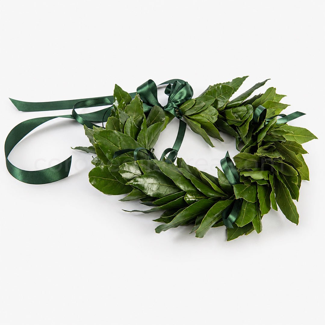 Corona laurea Royal, corona d'alloro con fiocchetti in raso - coronedilaurea.com