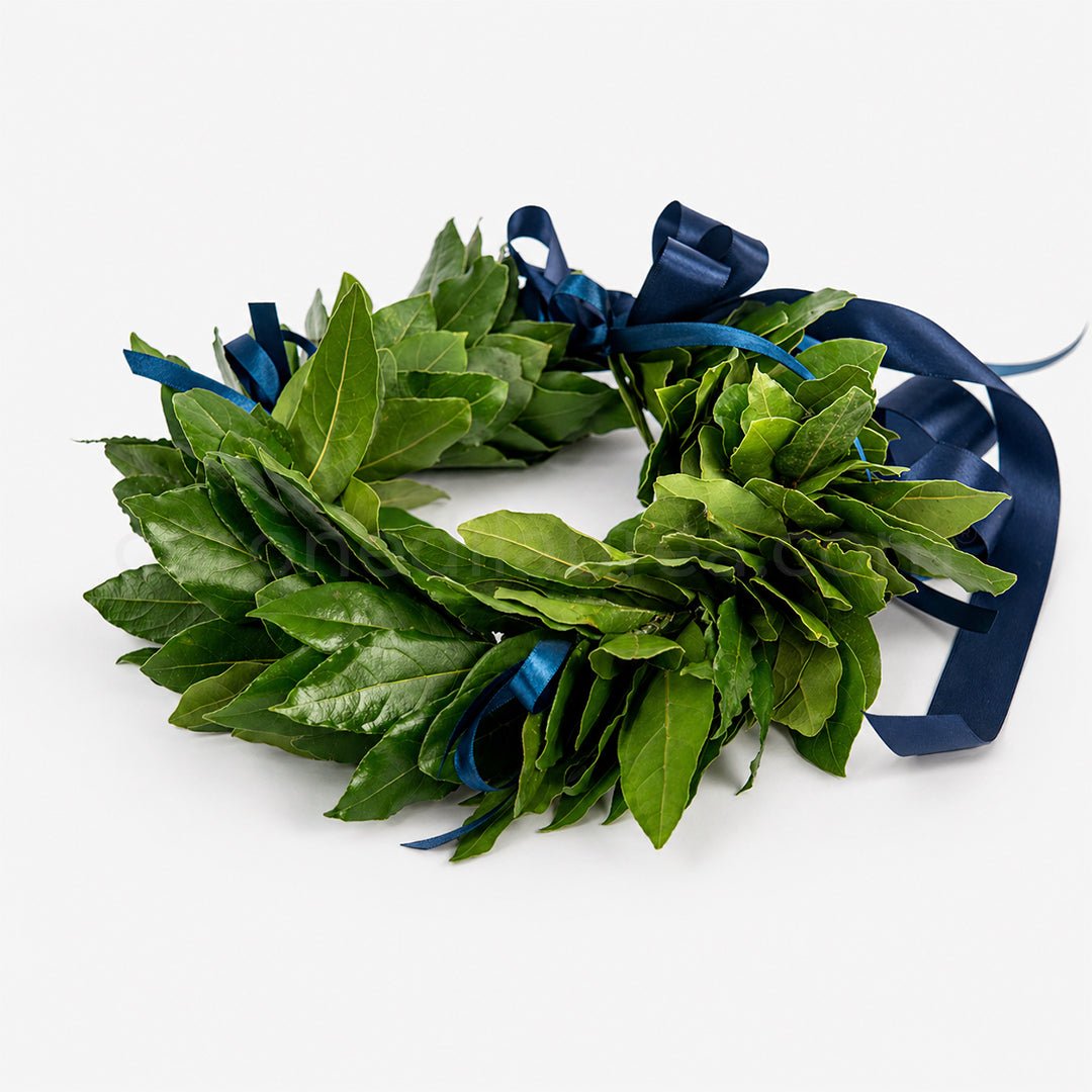 Corona laurea Royal, corona d'alloro con fiocchetti in raso - coronedilaurea.com