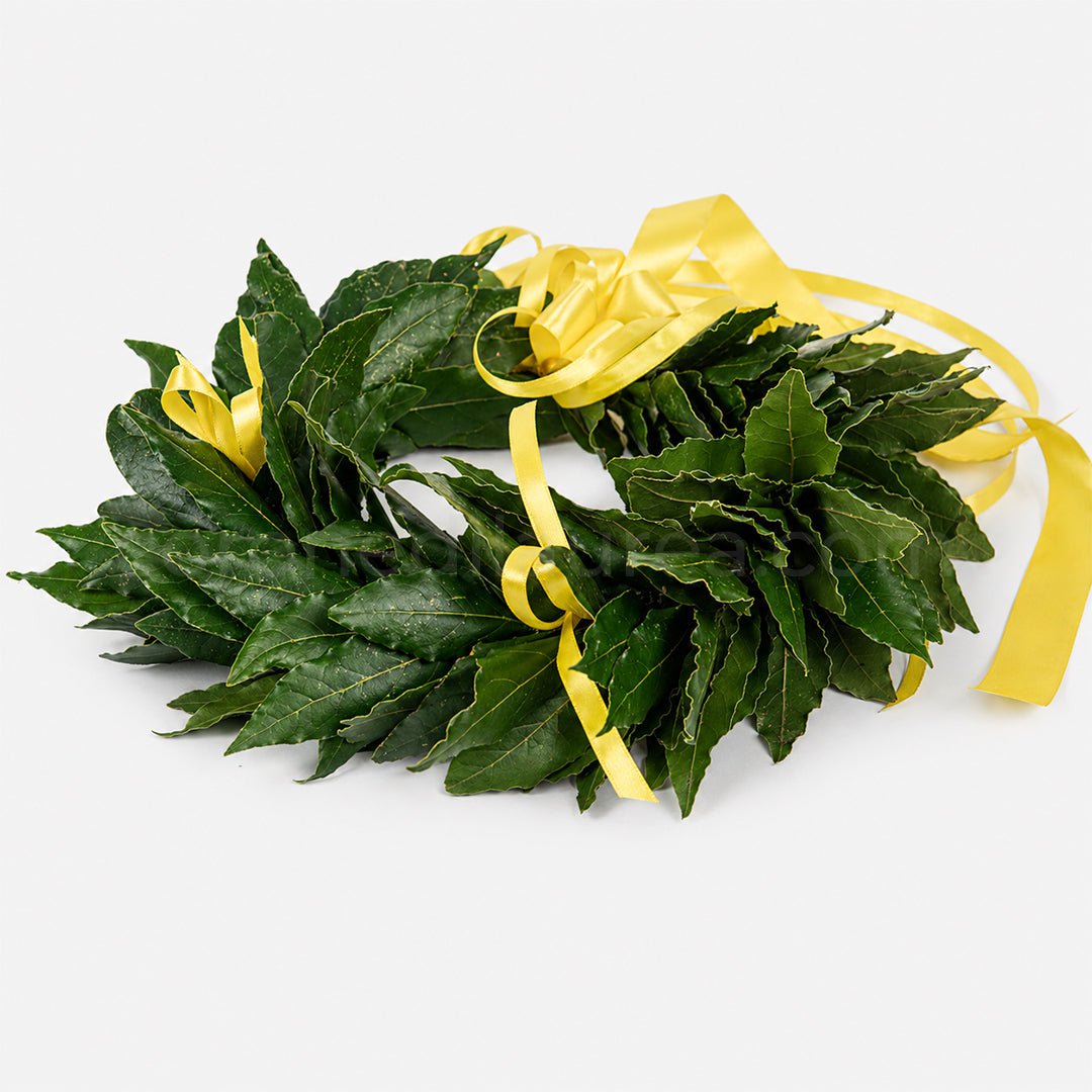 Corona laurea Royal, corona d'alloro con fiocchetti in raso - coronedilaurea.com