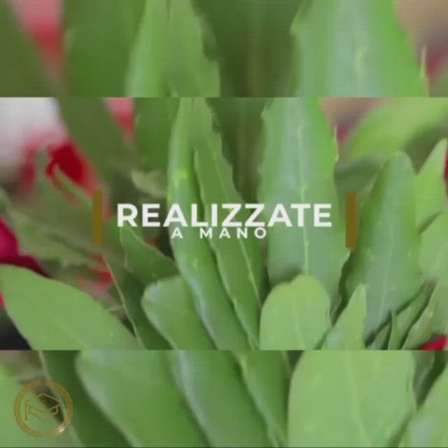 Personazza completamente la tua corona di laurea. Hai la possibilità di stampare sul fiocco di chiusura della coroncina il nome o la data della laurea. "Fatti ispirare dalla gioia del momento!"