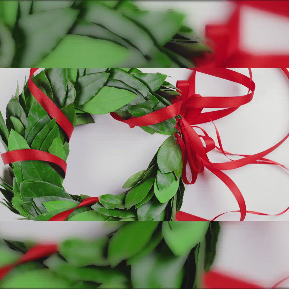 corona di alloro per laurea - corona laurea Classica - coronedilaurea.com - shop online spedizione gratuita