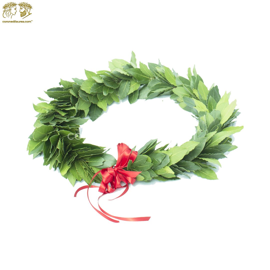 Corona per laurea Magistrale - corona di laurea da collo - coronedilaurea.com