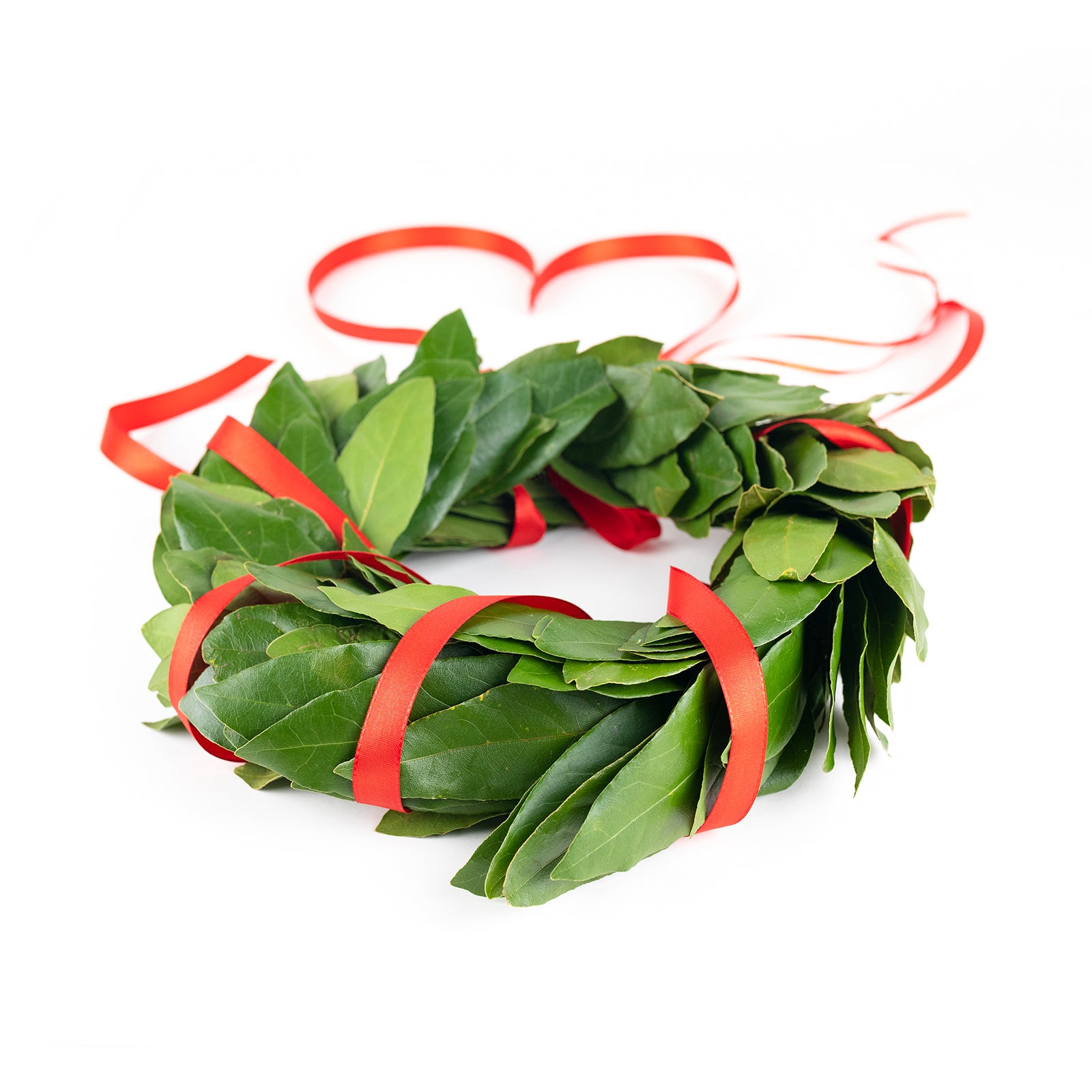 Corona di laurea gift-card. Corona di laurea Classica