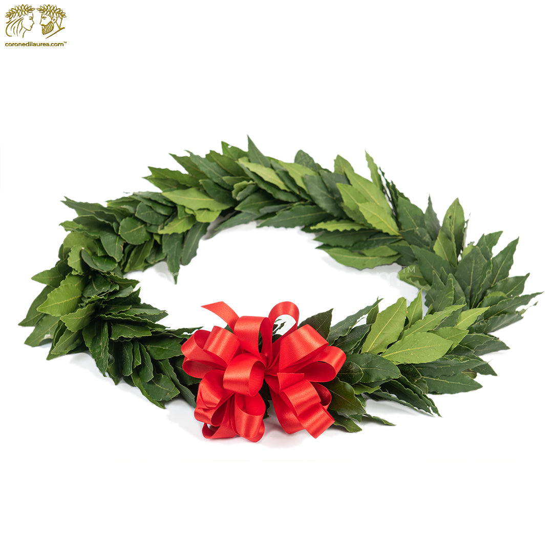 Corona per laurea Magistrale - corona di laurea da collo - coronedilaurea.com