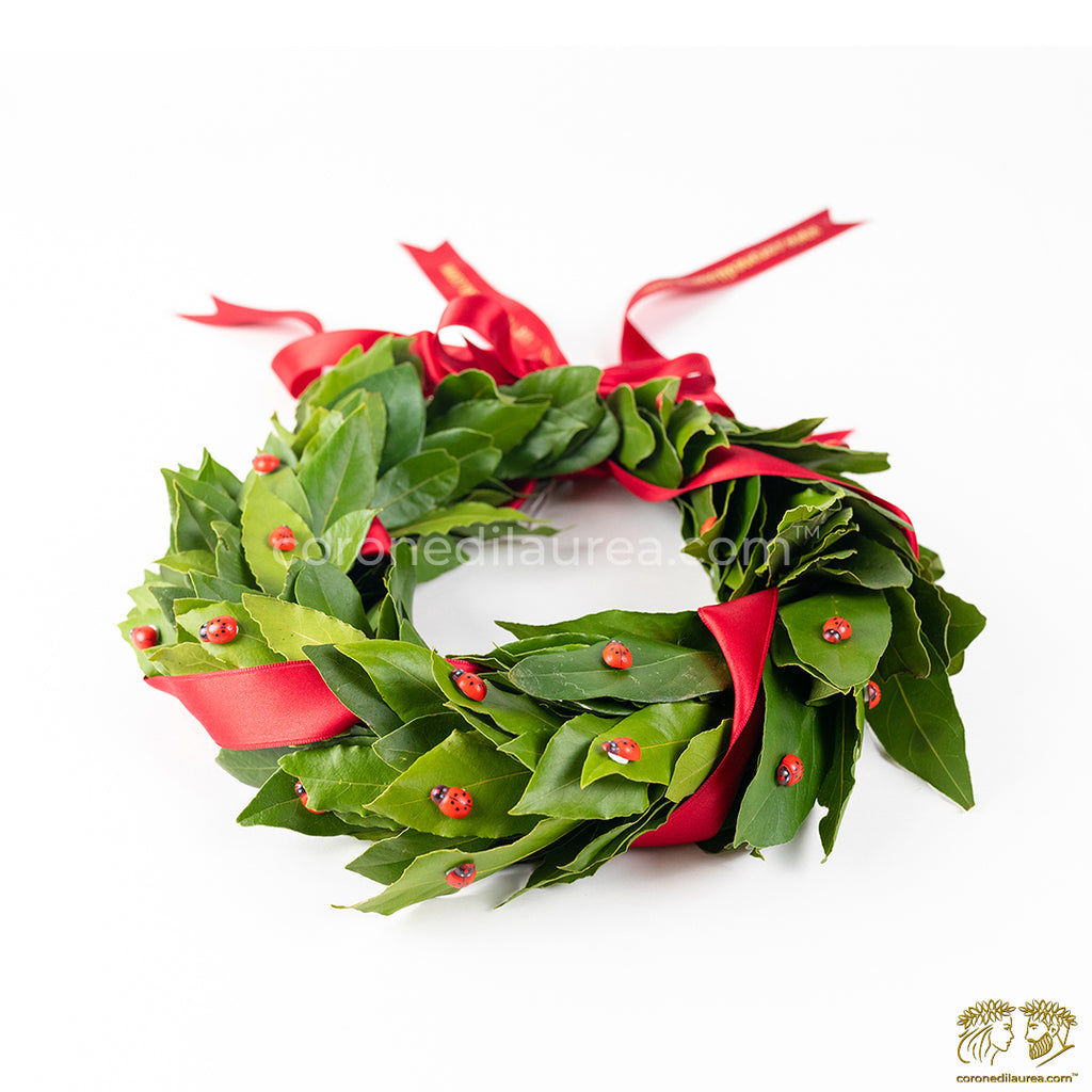Corona laurea Good Luck - coroncina con foglie di alloro fresco, nastro rosso in circonferenze ed a fiocco di chiusura con aggiunta di coccinelle artificiali- Taglia unica (facilmente regolabile) SPEDIZIONE ITALIA GRATUITA - coronedilaurea.com™