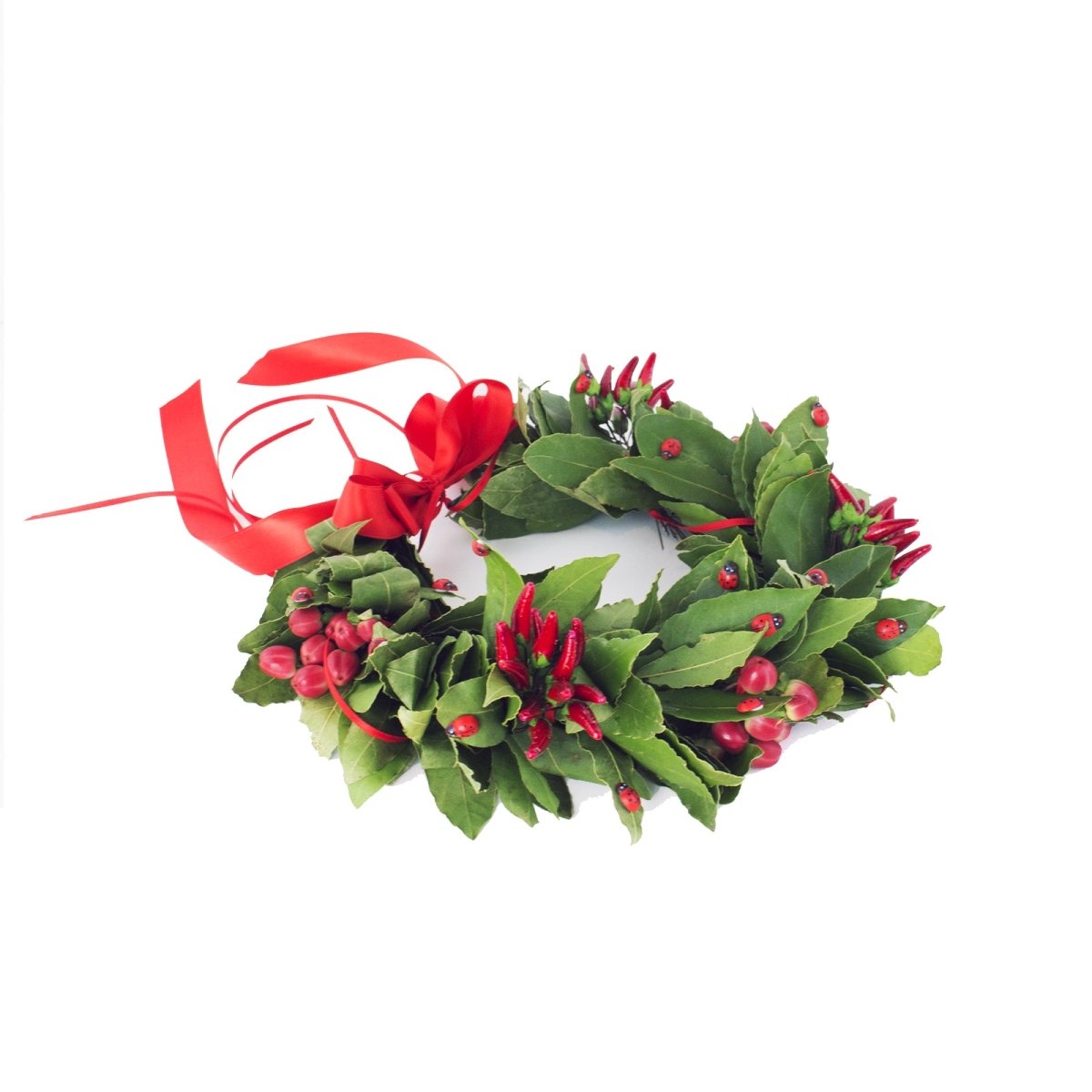 Gift card Corona di Laurea – Il regalo che lascia scegliere l’emozione perfetta - coronedilaurea.com®